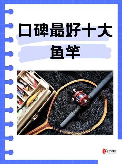 伊洛纳鱼竿在哪买,资源管理中的智慧与策略