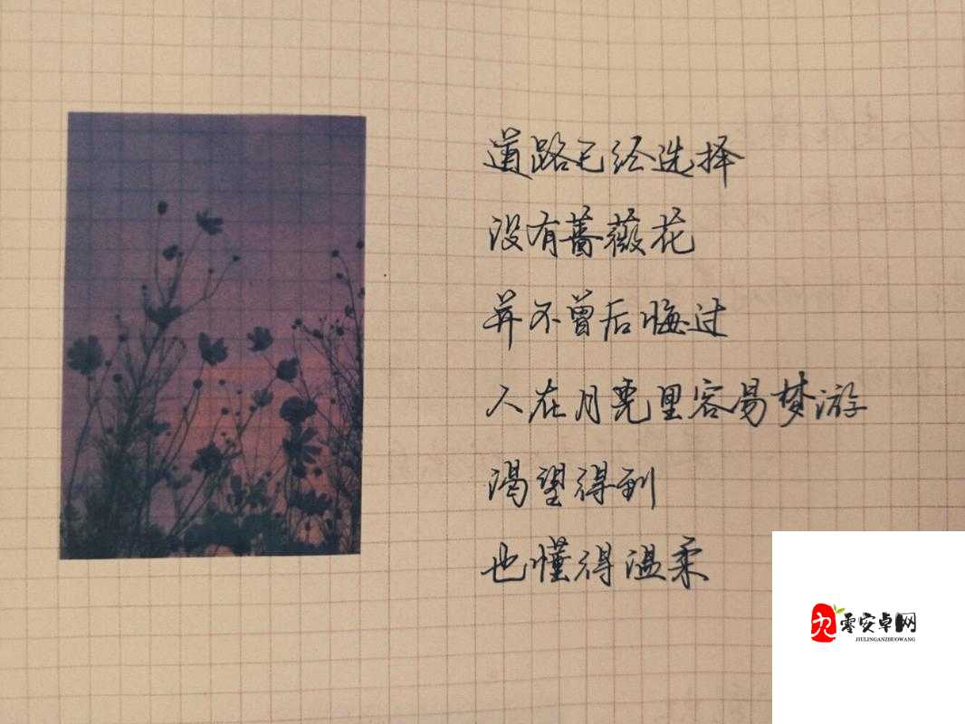 书里总爱写到喜出望外的傍晚是什么歌,在资源管理中的隐喻与策略
