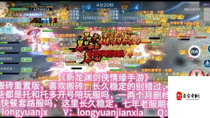 暴走大侠组队秘籍,携手好友,共闯难关