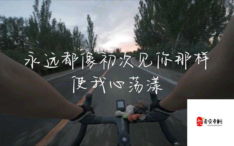 我永远保护你是哪首歌的深情告白?