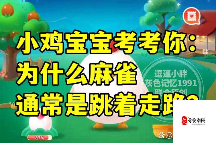 小鸡宝宝考考你,江西省的简称是?在游戏资源管理中的深度探索