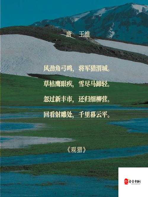 花与剑柳鹰泽寻觅记,长安梨花台的奇遇