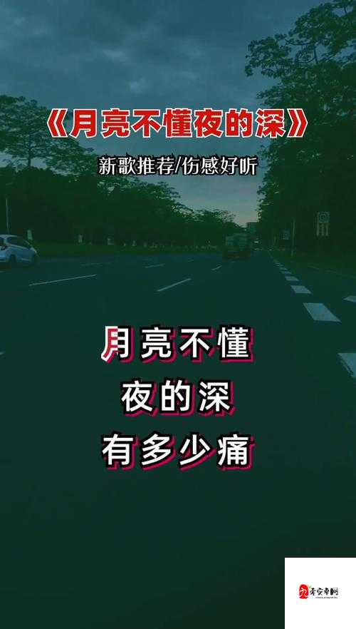 深夜辗转,这首歌是否触动你的心弦?