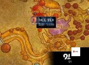 魔兽世界怀旧服空瓶哪里买,资源管理中的智慧与策略