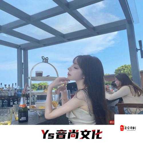 我向你飞雨温柔的坠是什么歌,解析、管理与价值最大化