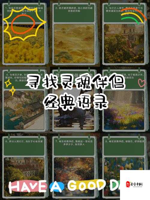 奶茶之约,寻找那个共饮的灵魂伴侣