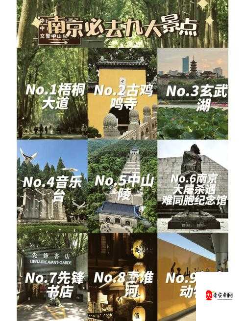 我想念南京,南京美丽的城市与音乐资源管理的艺术