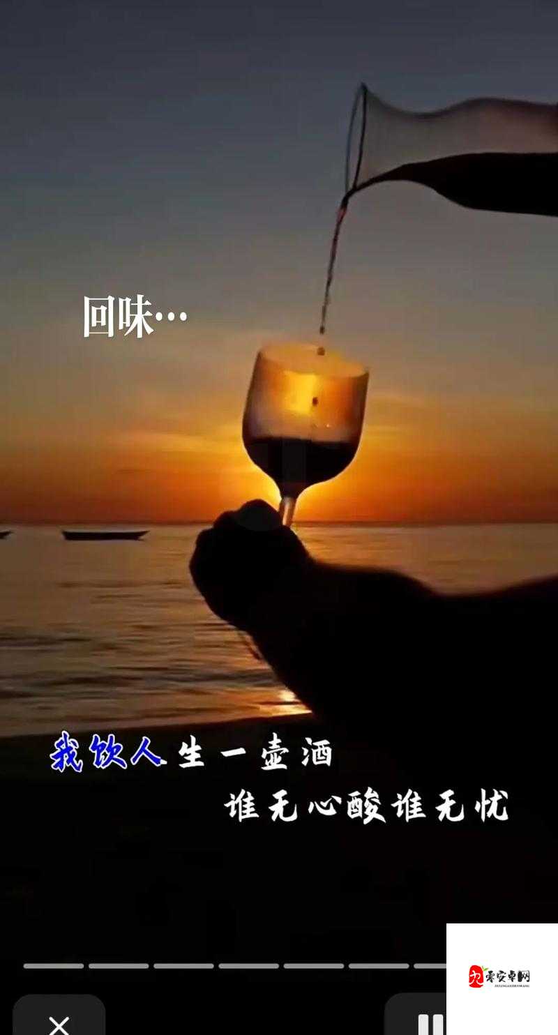 抖音敬自己十杯酒文字,资源管理的新视角与实践