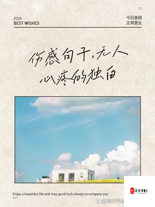 爱的苦涩独白,那些深夜里无人知晓的痛