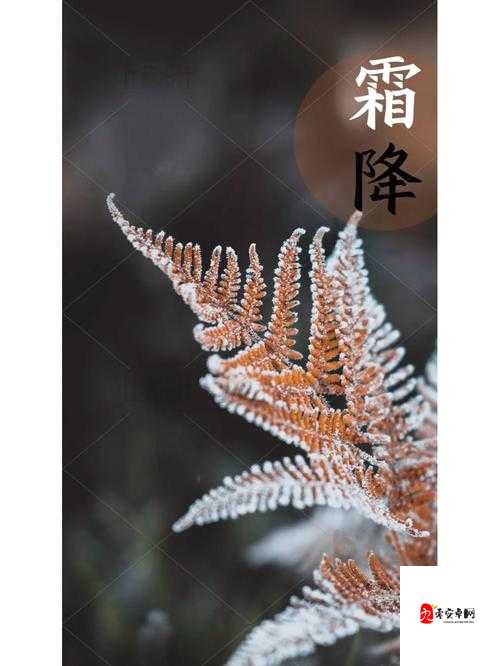 秋日情长,我愿等你至霜降——解读我可以等你一个秋天的浪漫图景