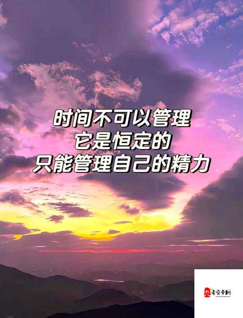 谁要理她原版探析,资源管理、高效利用与避免浪费