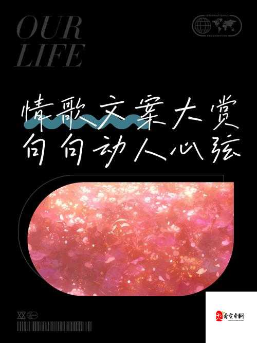 用这一生一世一期一会的相遇,是哪首动人情歌?