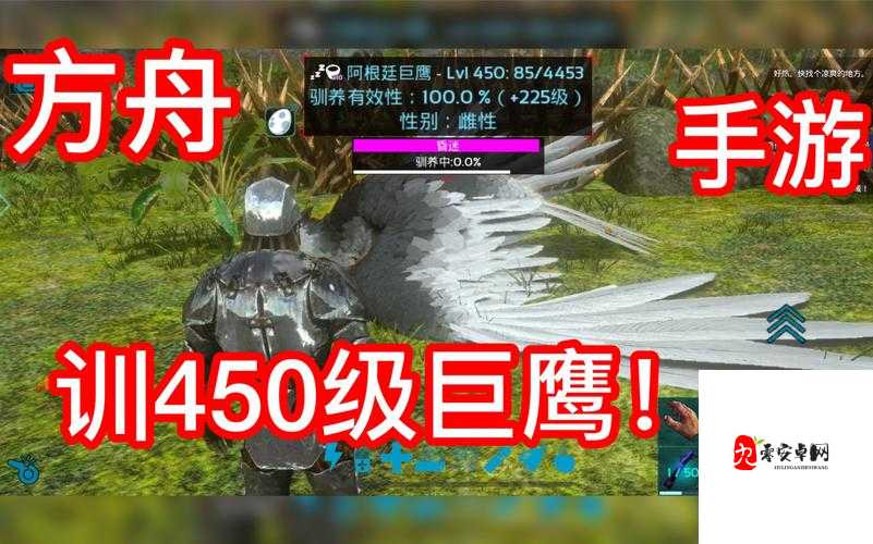 方舟手游,揭秘阿根廷巨鹰的高效驯服秘籍