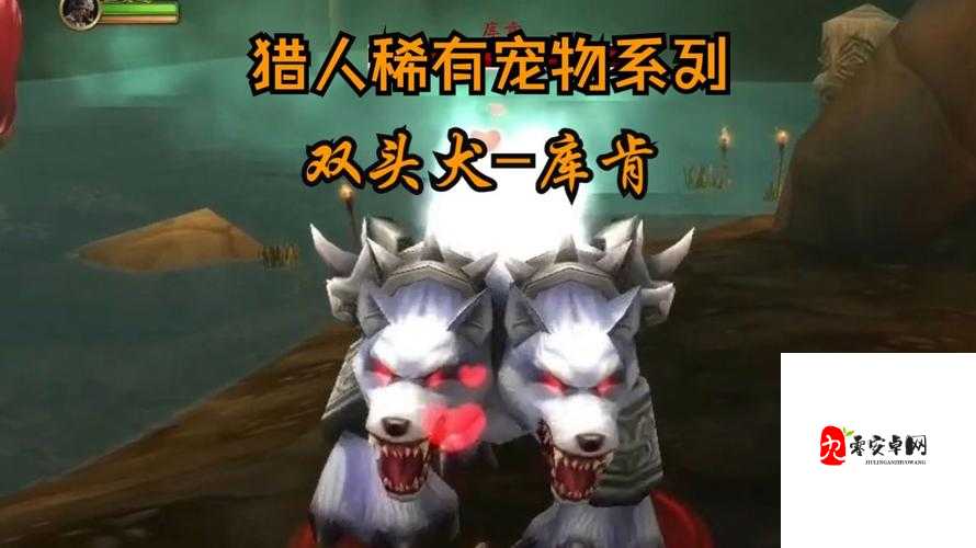 魔兽世界怀旧服怎么去达纳苏斯,资源管理、高效利用与最大化价值