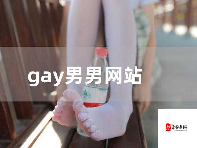 CHINESE 国产男男 GAY 片:探索中国同志电影的独特魅力