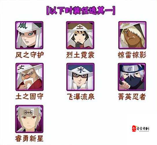 揭秘!集齐11位女忍者,解锁神秘荣耀称号