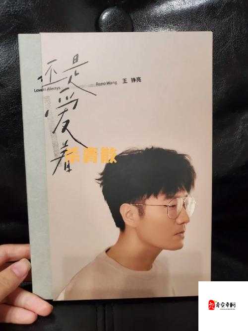 我还没用力你怎么那么痛什么歌:探寻其背后的深意