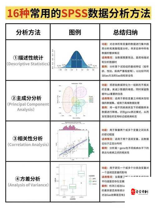 一个 0 被 3 个 1:关于这一独特组合的深入探讨与分析