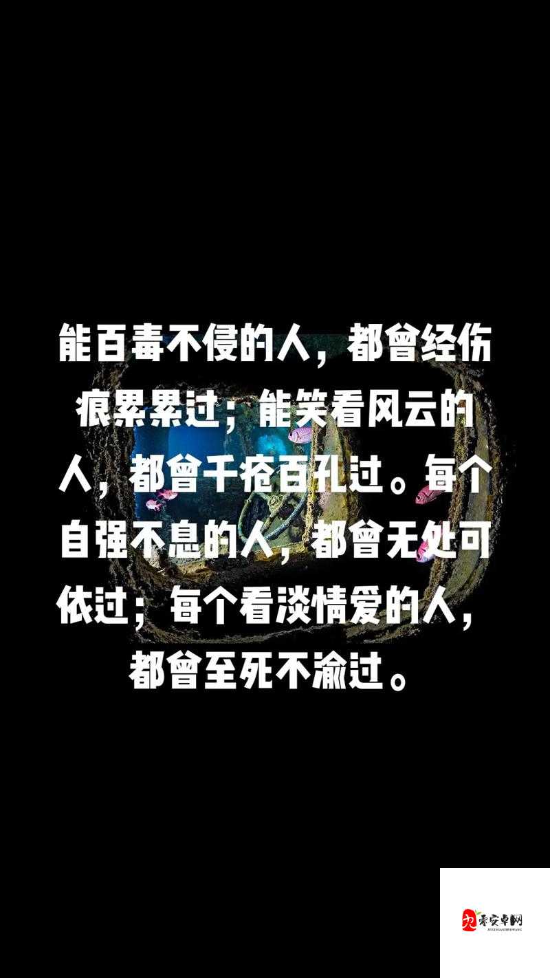 从伤痕到铠甲,解锁能百毒不侵的人都曾经伤痕累累手机壁纸的深层含义