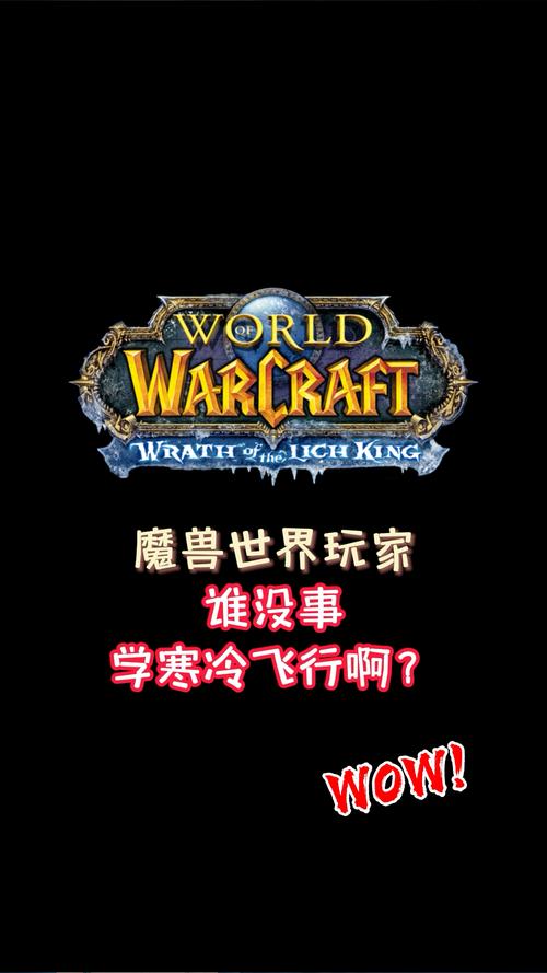 魔兽世界怀旧服,大号带小号,经验之谜与策略探索