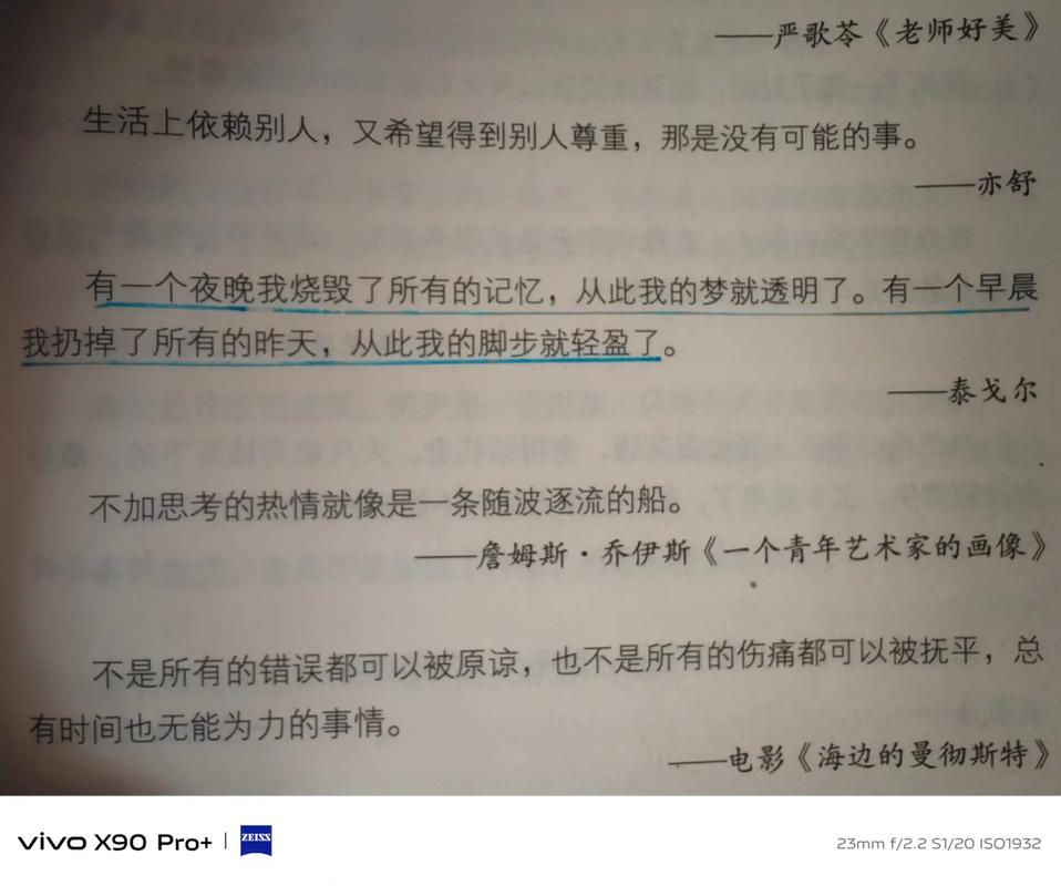 抖音热曲揭秘,那句也许迷途的惆怅会扯碎我的脚步究竟出自何方?
