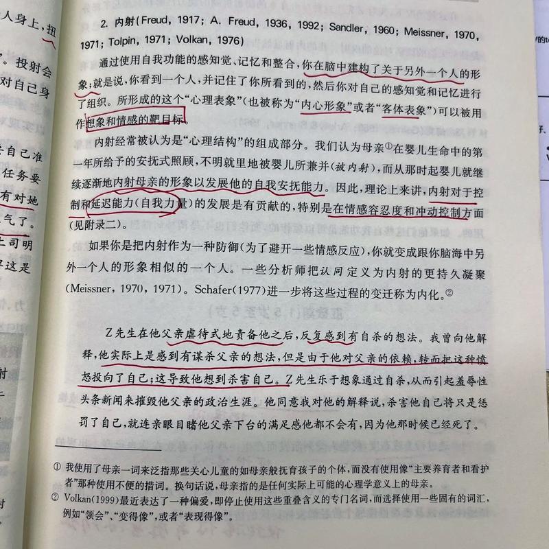 大力内射:探索其独特魅力与深远影响