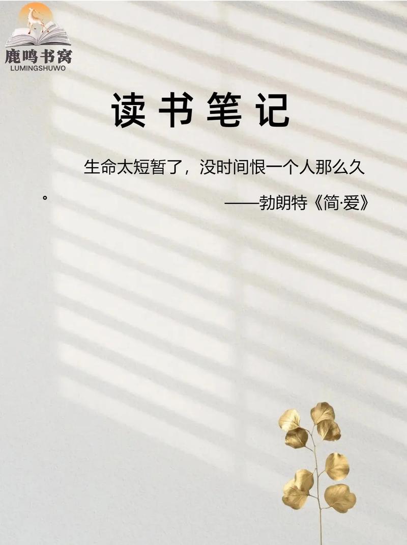 跨越内心的障碍,当自尊与经验碰撞时