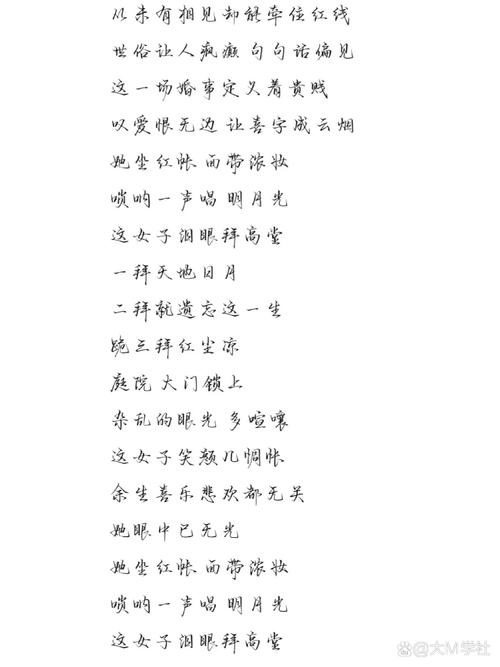 抖音热门歌词揭秘,谁的苦酒敬月光究竟是哪首歌?