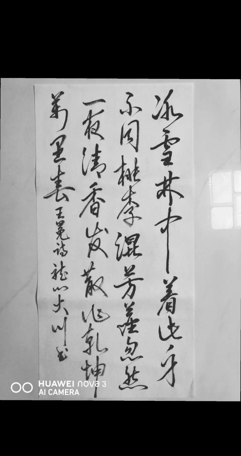 抖音热门古风曲烟笼长安,岁月匆匆,故人难寻