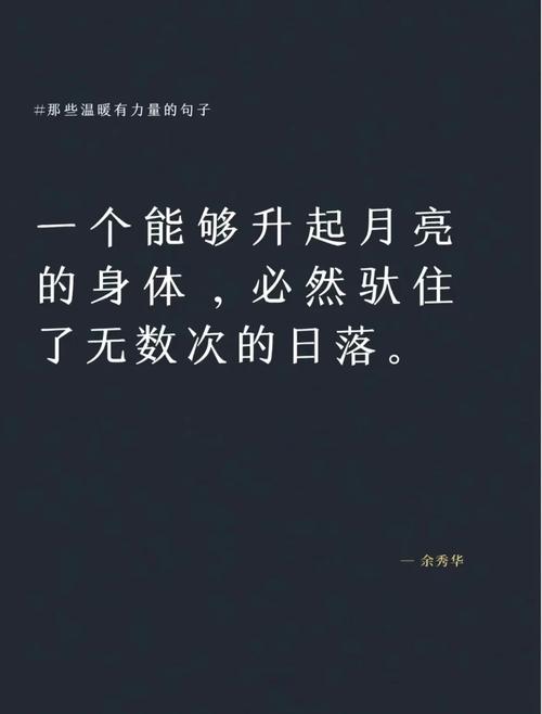 孤影中的光芒,解读没有依靠只剩骄傲的坚韧之美