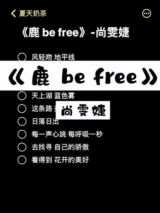 抖音热曲揭秘,探寻却又像风捉摸不住的旋律之源