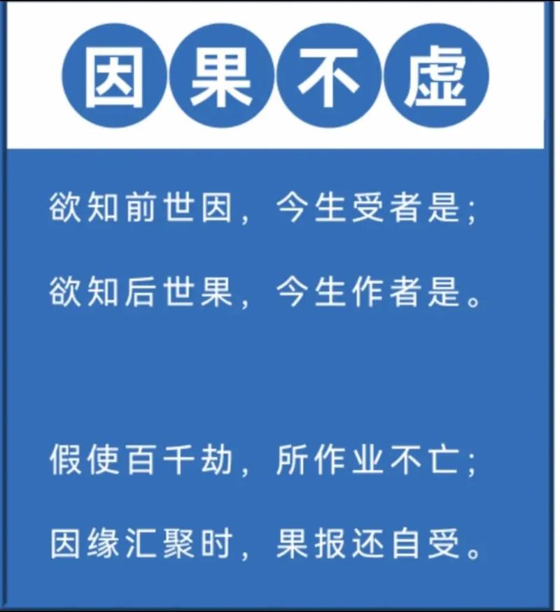 百因必有果,你的报应就是我图片在资源管理中的深度解析