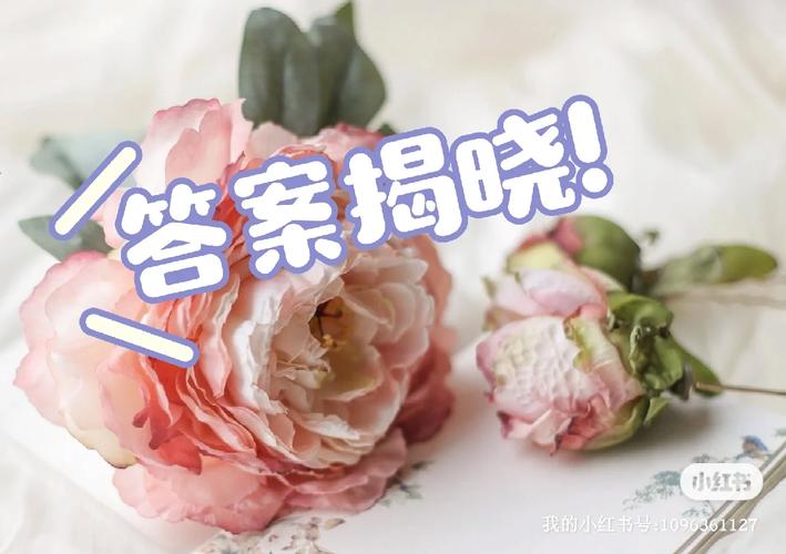 QQ飞车9月9日每日一题揭秘,答案揭晓,惊喜连连!