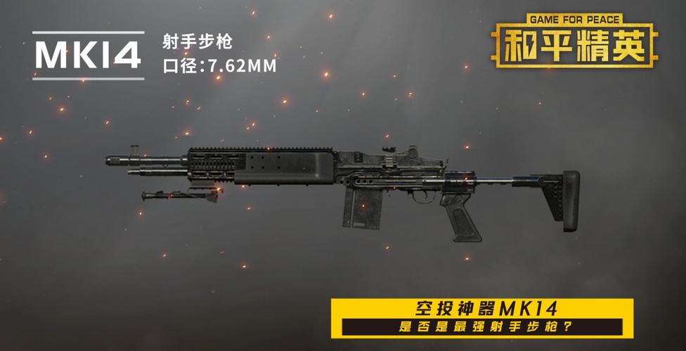 和平精英团队竞技,枪械搭配的艺术与策略