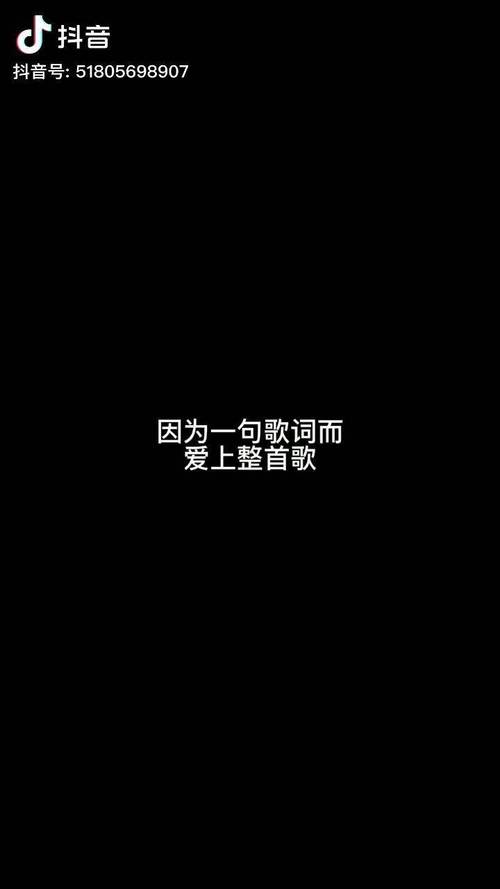 抖音热门歌曲揭秘,那句我说的每句话你都已听不见