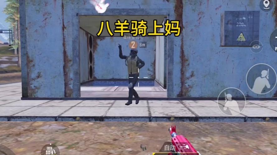 和平精英巨型兔子在哪里,资源管理中的关键要素与策略
