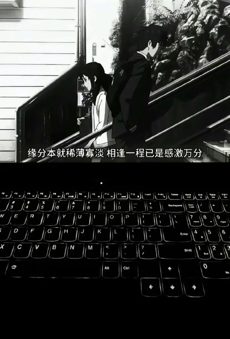 抖音爱情的游戏规则,专一就是唯一——解析隔墙花在情感资源管理中的启示