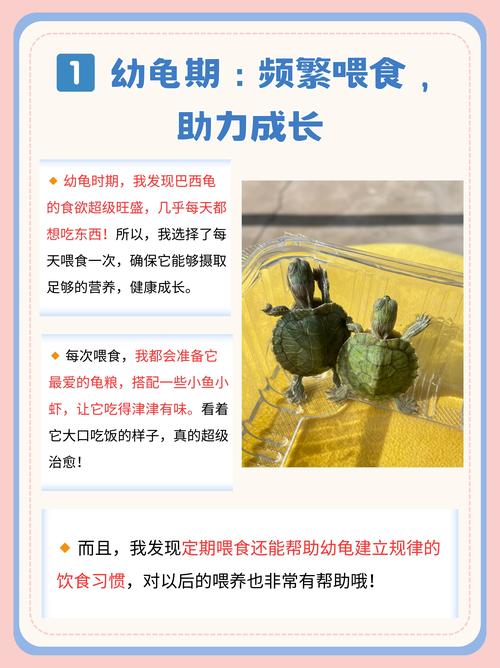 解锁萌趣新速度,揭秘龟龟车获取秘籍