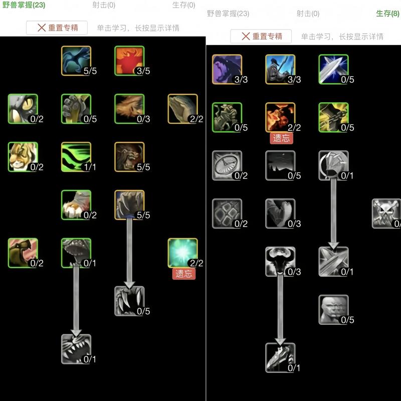 王牌战士猎手天赋加点秘籍,解锁你的战场潜力