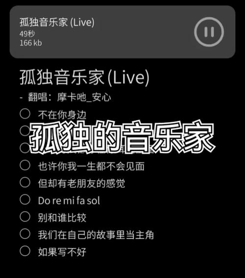抖音热曲揭秘,黑夜中的孤独喘息,是哪首歌触动心弦?