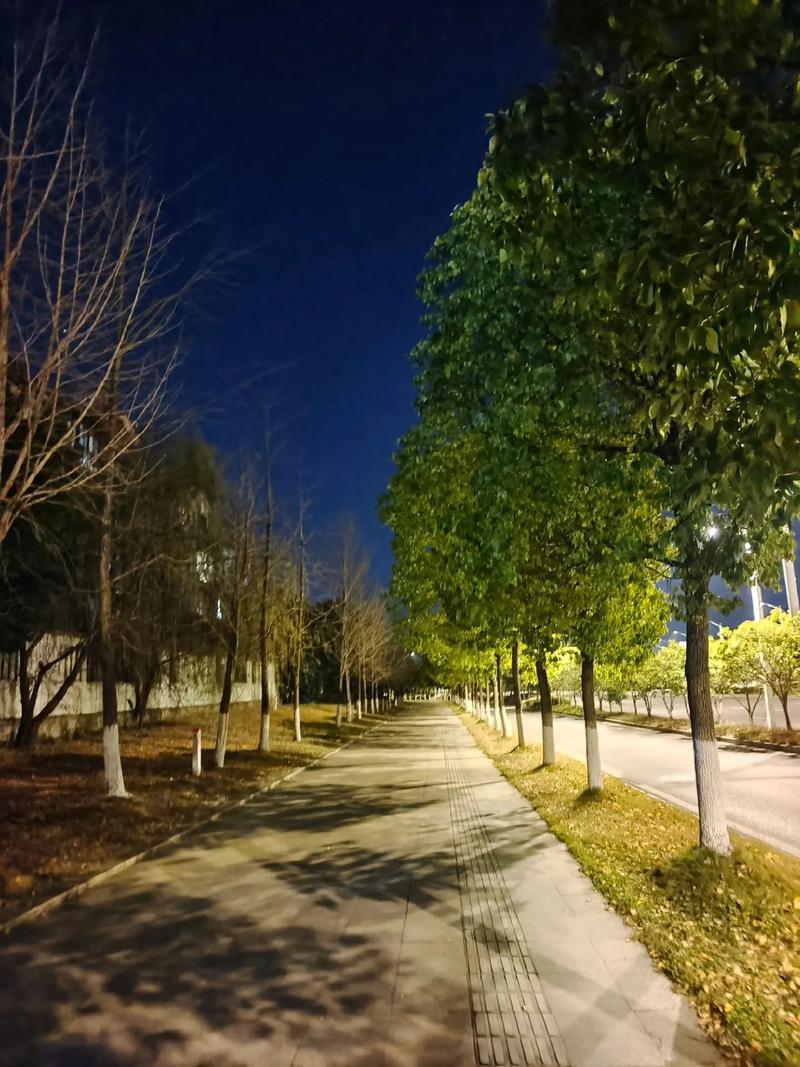 在流逝时光里,总有首歌让人等待——揭秘后继者的深情旋律