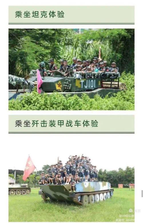 完美世界手游8月14日谜题揭秘,智慧与勇气的双重考验