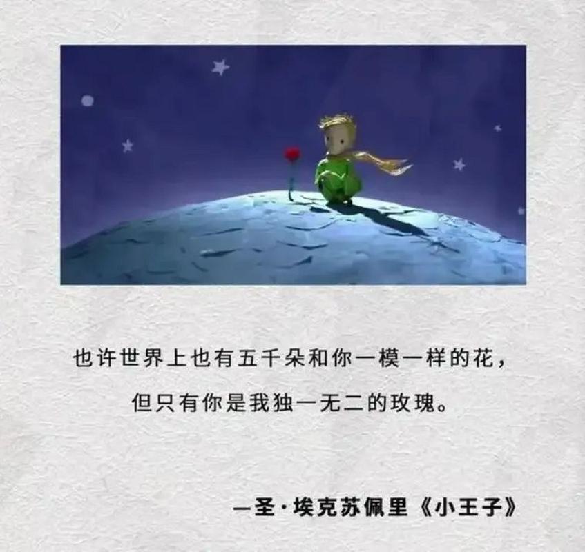 小王子的星球上长了一株什么,资源管理的智慧与策略