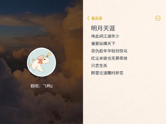 唯此间江湖年少偏爱纵横天下,这句歌词究竟出自何方神圣?
