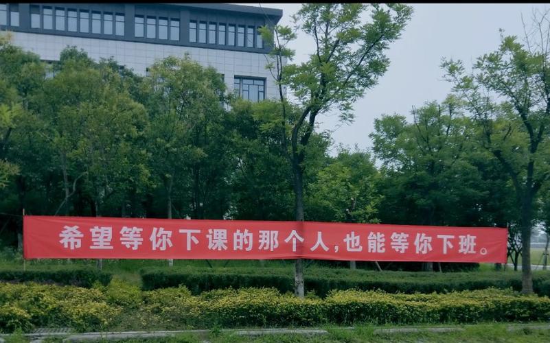 没人会等你壁纸游戏攻略,从新手到精通的全面指南