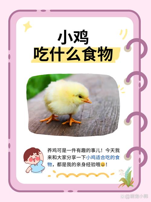 我就吃两个,剩下的都给你,游戏中的深层含义与机制探索