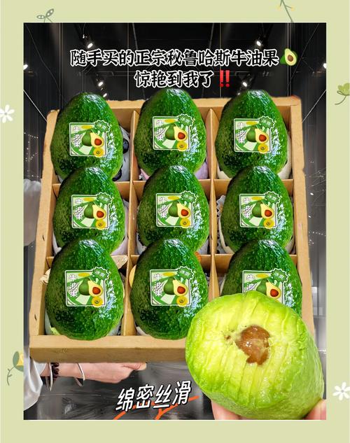 牛油果女孩,网络新宠的清新魅力
