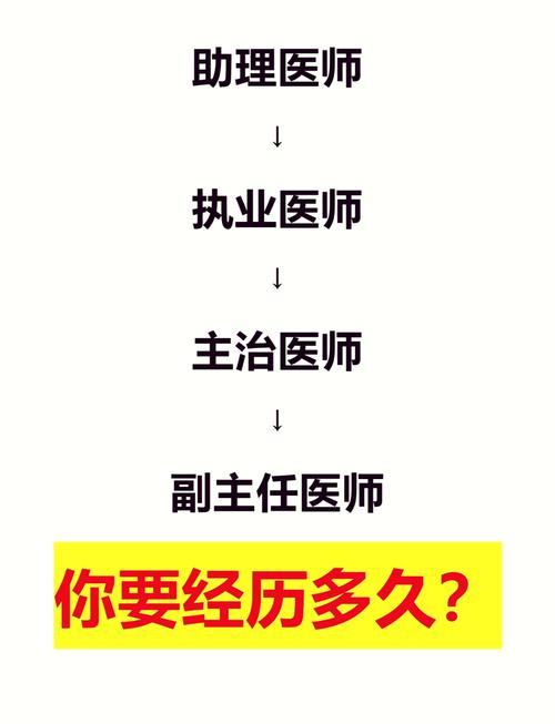 在同人传中,句芒担任了哪家宠物医院的主任医师?全面攻略