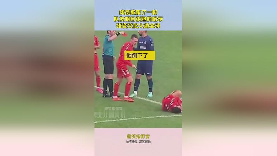 人与禽 ZoZ0 性伦 AV:揭秘背后的真相与争议