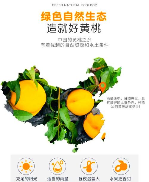 探索桃子植入的10000种黄油:从经典到创新的美味之旅,解锁黄油的多重魅力与实用技巧